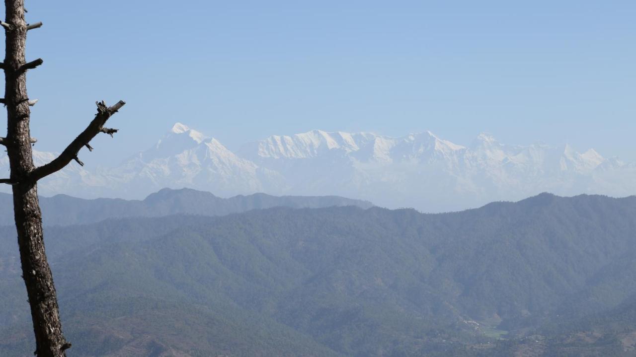 Woodsvilla Resort Ranikhet Bagian luar foto