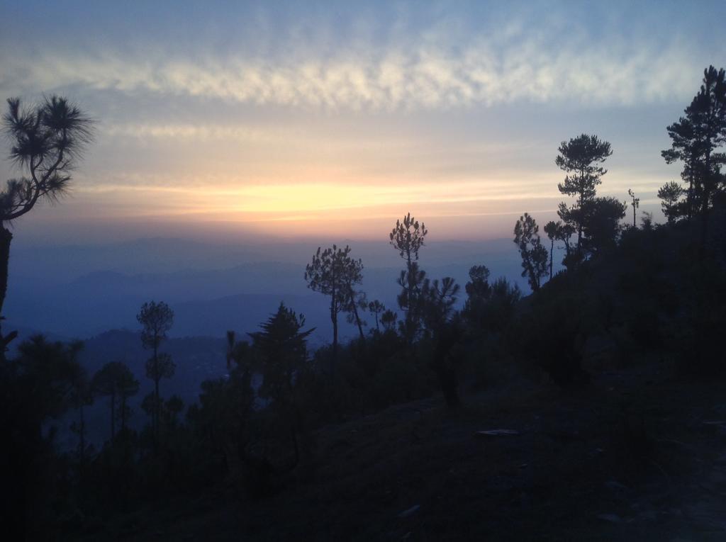 Woodsvilla Resort Ranikhet Bagian luar foto