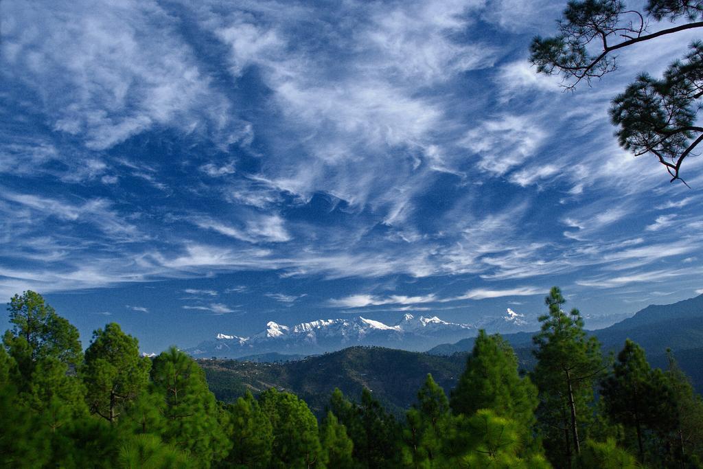 Woodsvilla Resort Ranikhet Bagian luar foto