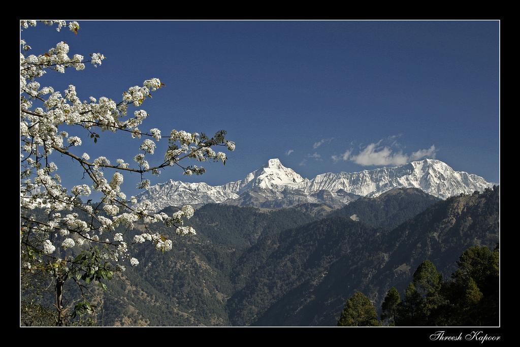 Woodsvilla Resort Ranikhet Bagian luar foto