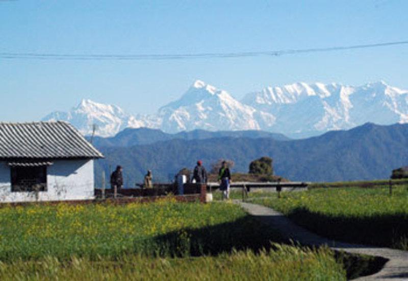 Woodsvilla Resort Ranikhet Bagian luar foto