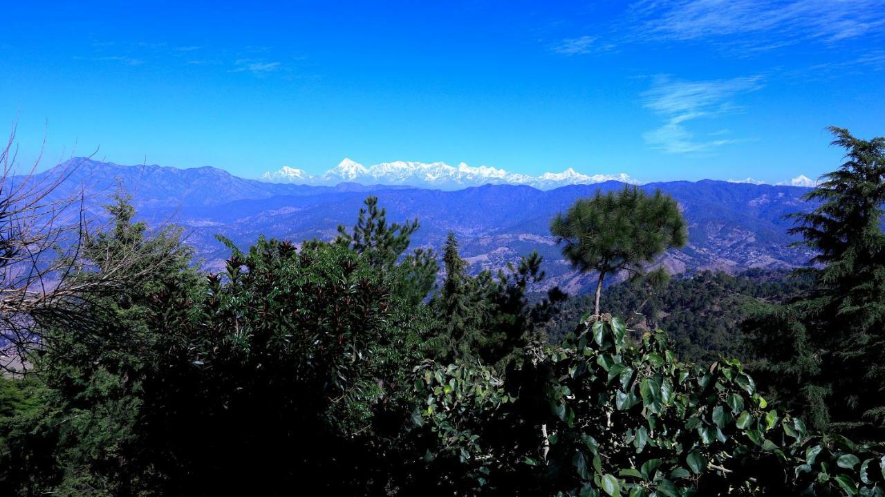 Woodsvilla Resort Ranikhet Bagian luar foto